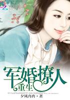 宋檀记事讲什么