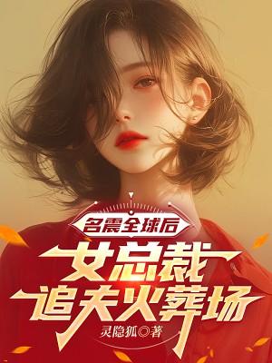 名震全球后,女总裁追夫火葬场