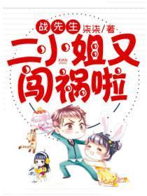 战先生,二小姐又闯祸啦!